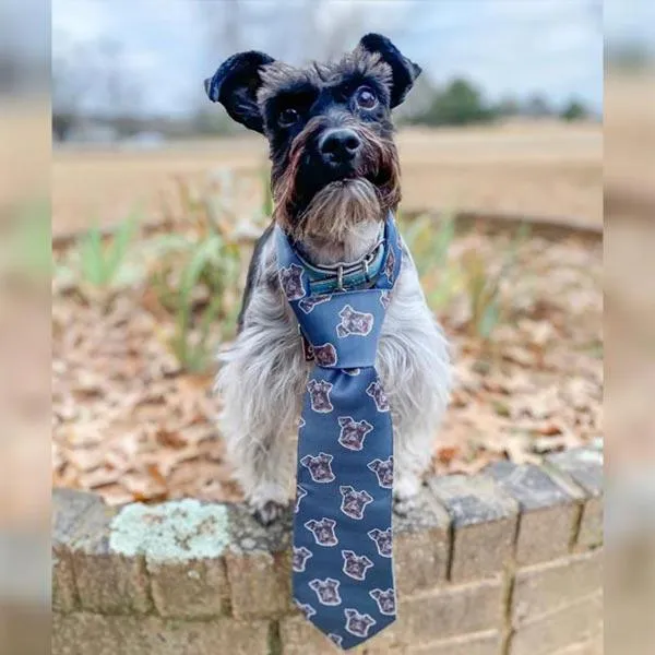 Original Pet Pop Art Neck Ties